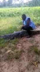 Playing with a crocodile nearly costed a Nigerian woman
