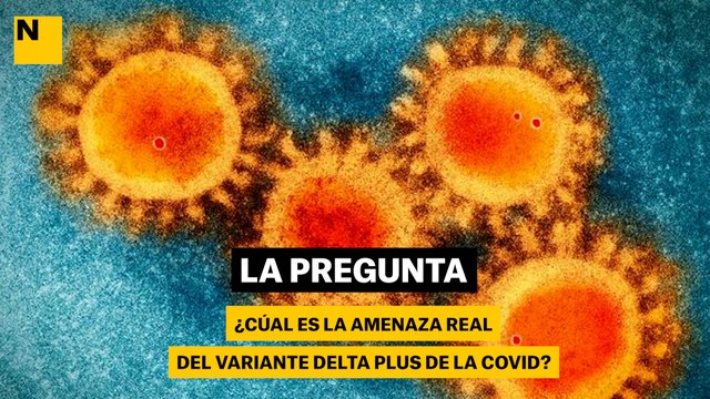 ¿Cuál es la amenaza real del variante delta plus de la covid?