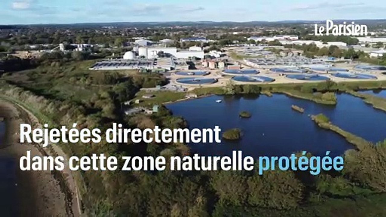 Des millions de litres d’eaux usées, polluées déversée dans une zone naturelle protégée