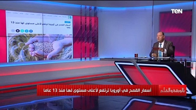 كارثة تطوف العالم بسبب الغذاء وتخوفات في أوروبا من أزمة الحبوب الغذائية وتأثيرها على مصر