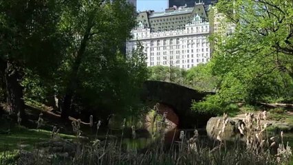 Kids Can Dress Up for 'Spooky Tea' With Eloise at The Plaza — and Go on a Candy Scavenger Hunt