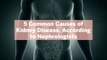 5 Common Causes of Kidney Disease, According to Nephrologists