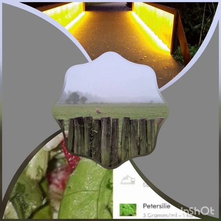 Nach 1 1/2 einen Maskenschaden* 3G beim Arzt*Corona Tag 588