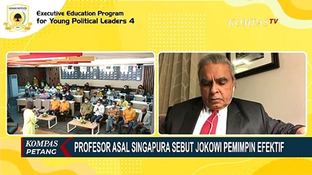 Profesor Asal Singapura Sebut Jokowi Pemimpin Efektif