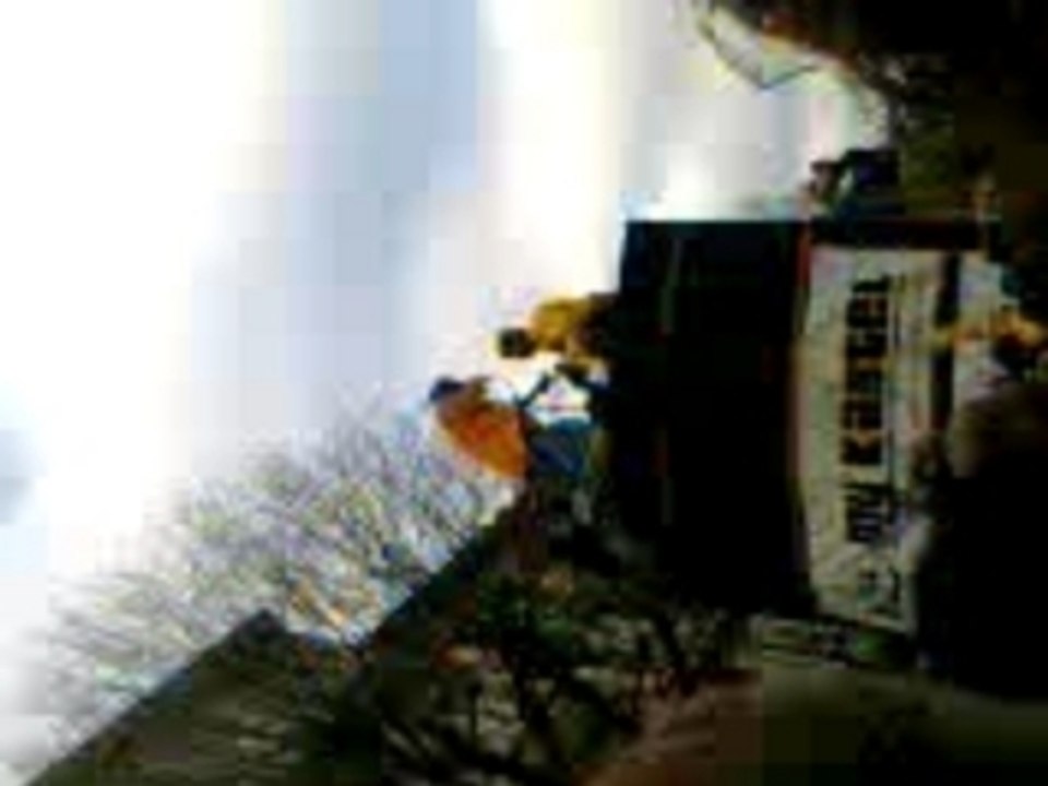 saik o karnaval de bordeaux