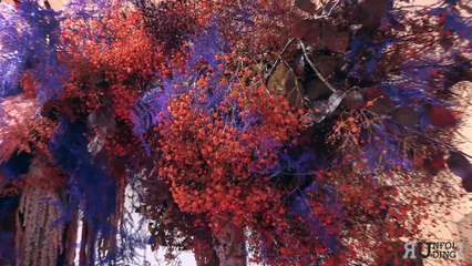 ATMAĀN soffio vitale Installazione floreale di Marzia Taurino e Sara Tusset  Galleria Micro Roma