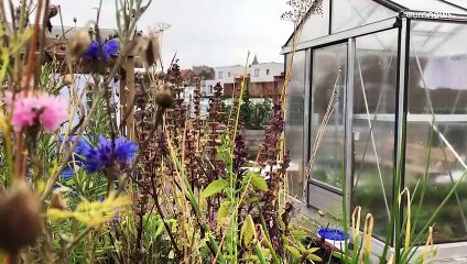 EU-Agrarpolitik für die Stadt: Tomaten und Salat vom Dach