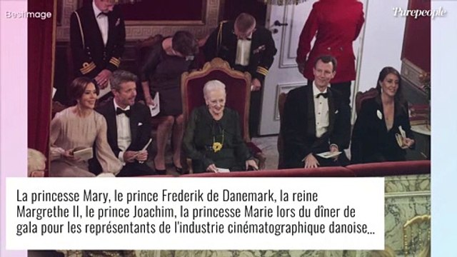 Mary et Marie de Danemark : les princesses assorties, soir de gala au palais