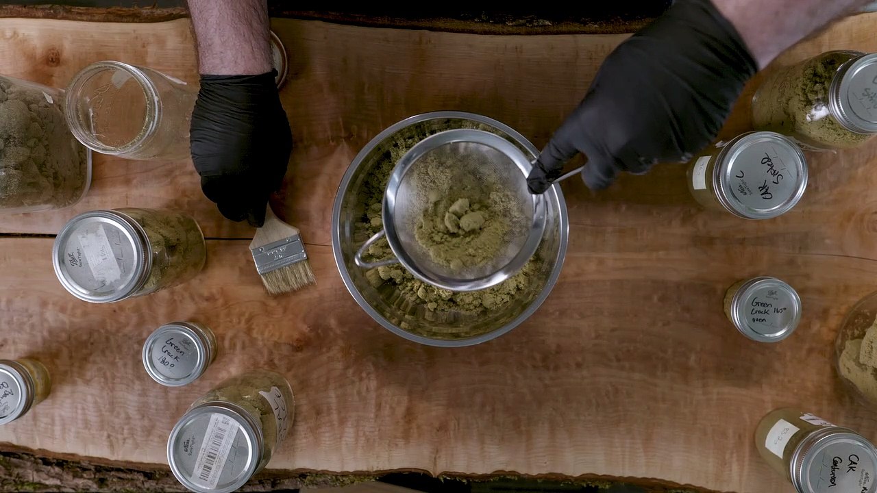 Sitka - Taste Hash Mastery