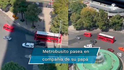 Así se ve el Metrobusito y su papá el señor Metrobús" sobre Reforma