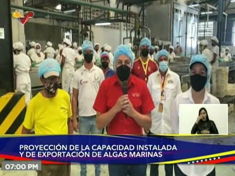Planta “La Perla del Sur” en Nueva Esparta garantiza exportación de algas marinas