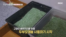 [INCIDENT] Blocked drain. Because of the cat's sand?, 생방송 오늘 아침 211028