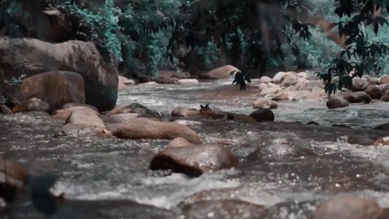 La Unción - Sherlyn Rosario (Directed by Nick Pacay)