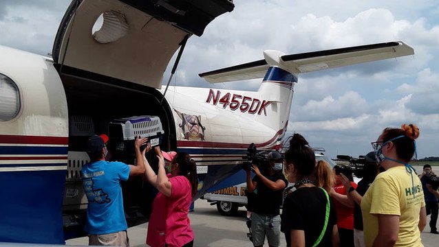 Wisconsin shelter finds homes for animals displaced by Ida