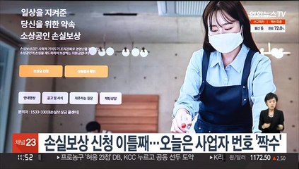 손실보상 신청 이틀째…오늘은 사업자 번호 '짝수'
