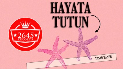 Yaşar Taner - Hayata Tutun
