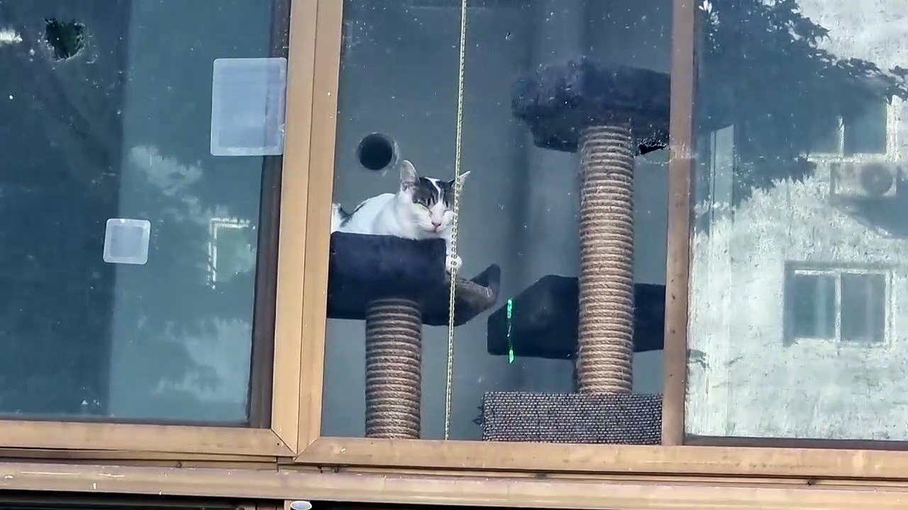 大胆に寝る奴