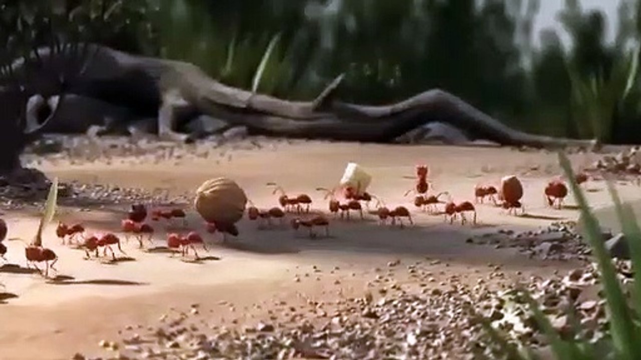 Teamwork - Kerjasama