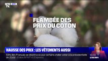 Avec la flambée des prix du coton, les vêtements risquent d'être plus chers