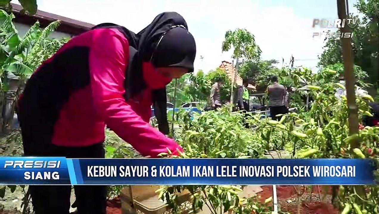 Program Ketahanan Polsek Wirosari yang Sulap Kantor Jadi Kebun Sayur