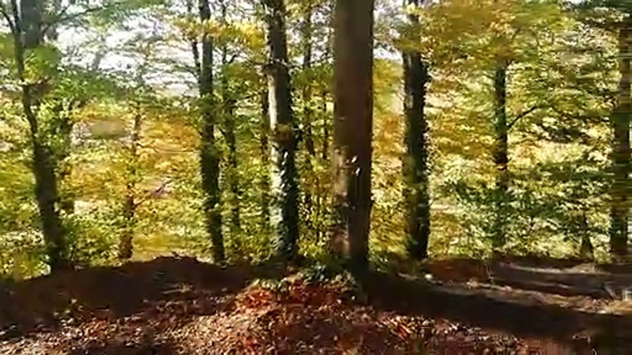 Die versteckte Burg Steinhart mit Kirchenglocken