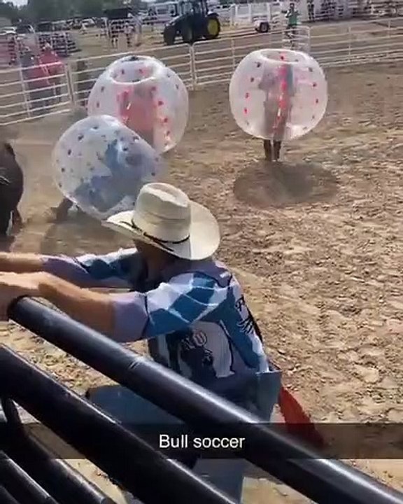 Taureau Bubble, un taureau lâché dans un jeu de personnes dans des bulles