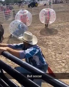 Taureau Bubble, un taureau lâché dans un jeu de personnes dans des bulles