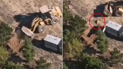 Belediyeden "köpeklerin diri diri gömüldüğü" iddialarına yalanlama: Sadece ölü bulunan hayvanları gömdük