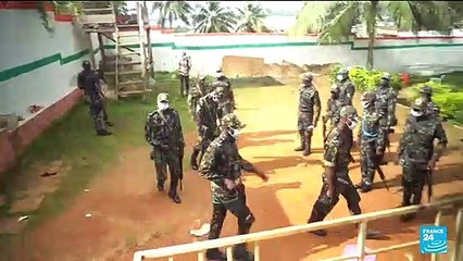 En Côte d'Ivoire, une "armée verte" contre la déforestation