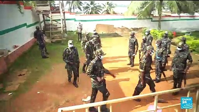 En Côte d'Ivoire, une armée verte contre la déforestation