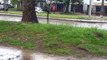 Lluvia mansa en el Bulevar Rodríguez Correa, Tacuarembó, Uruguay (23/10/21)