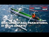 BRIN UNGKAP ASAL PARACETAMOL DI TELUK JAKARTA, BIOTA LAUT TERANCAM!