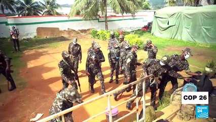 Ivory Coast's 'green army': 650 soldiers combat deforestation