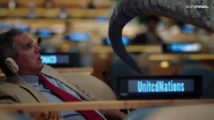 'Frankie' goes to ONU, ecco il dinosauro che dà manforte alle azioni per il clima