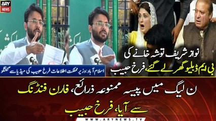 Money falls from illicit sources in PML-N says, Farrukh Habib