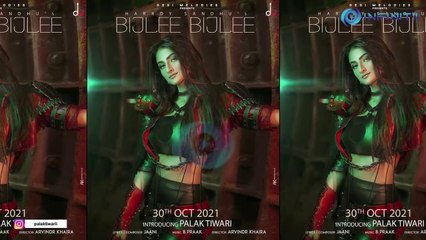 Music Video Debut With 'Bijlee Bijlee' Says Palak Tiwari