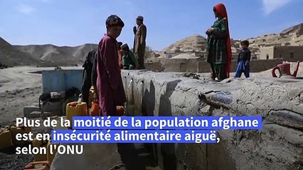 En Afghanistan, bergers et agriculteurs affamés par le changement climatique