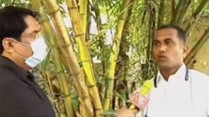 Here's what Fletcher said over witness in Sameer's cases