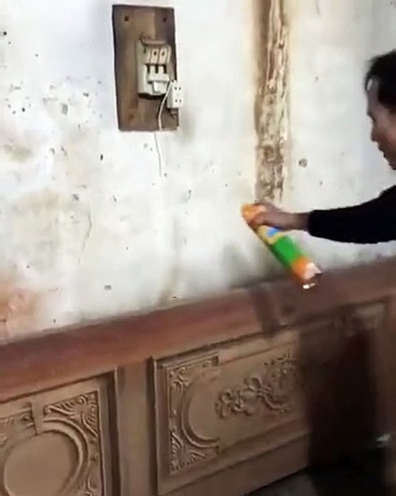 L'insecticide vs Les Cafards ! WOW