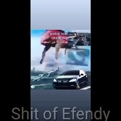 Bulk Shitpost compilation