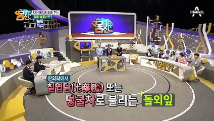 돌외잎 섭취가 30분간 러닝머신을 뛰는 것과 비슷한 효과가 나타난다?! 다이어트에 도움 주는 ▶돌외잎◀