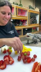 Fruit Lizard CharcuterieThis little iguana sure does enjoy
