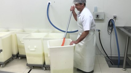 Fromagerie du Vieux Moulin : "On ne peut faire du Herve qu'à Herve"