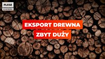 Eksport drewna zbyt duży