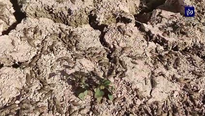 Cracks appear in floor of Wala Dam after it completely dries