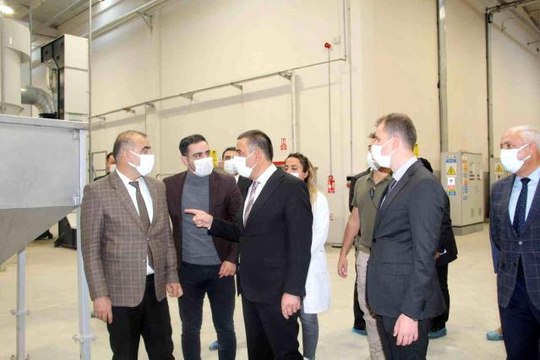 Siirt fıstığı dünya pazarında yerini aldı