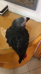 Whatsapp Video 2021-10-28 At 17.22.30