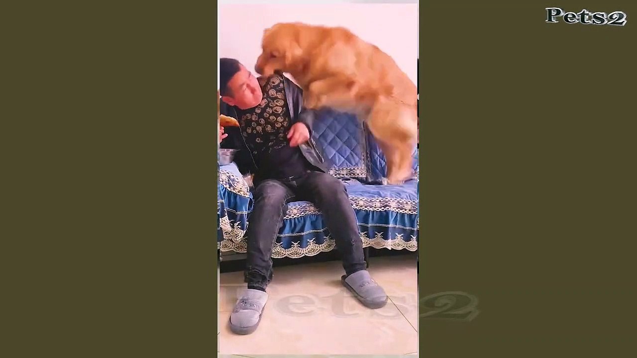 funny videos-part 2