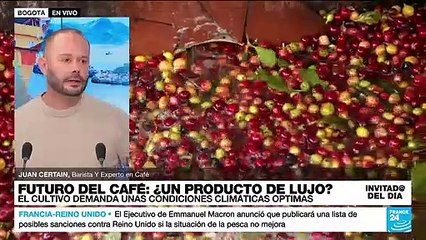 Juan Certain: "El café no tolera cambios drásticos de temperaturas"
