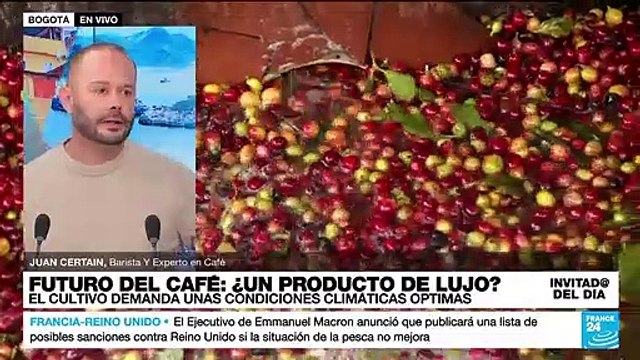 Juan Certain: El café no tolera cambios drásticos de temperaturas